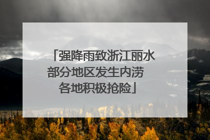 强降雨致浙江丽水部分地区发生内涝 各地积极抢险