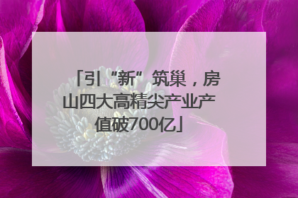 引“新”筑巢，房山四大高精尖产业产值破700亿