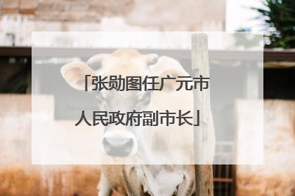 张勋图任广元市人民政府副市长
