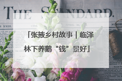 张掖乡村故事｜临泽林下养鹅“钱”景好