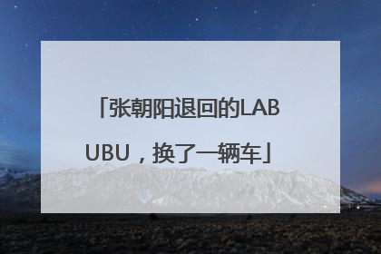 张朝阳退回的LABUBU，换了一辆车