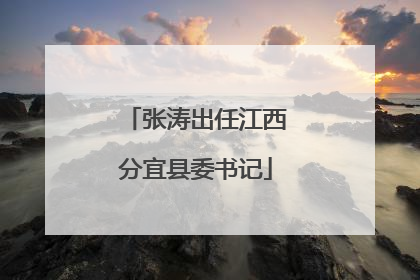 张涛出任江西分宜县委书记