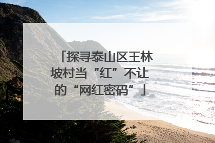 探寻泰山区王林坡村当“红”不让的“网红密码”
