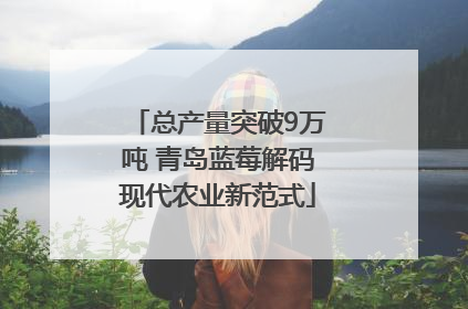 总产量突破9万吨 青岛蓝莓解码现代农业新范式