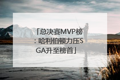 总决赛MVP榜：哈利伯顿力压SGA升至榜首