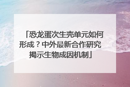 恐龙蛋次生壳单元如何形成？中外最新合作研究揭示生物成因机制
