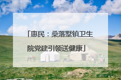 惠民：桑落墅镇卫生院党建引领送健康