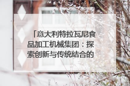 意大利特拉瓦尼食品加工机械集团：探索创新与传统结合的可能性｜西望四川