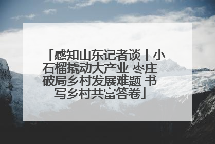 感知山东记者谈丨小石榴撬动大产业 枣庄破局乡村发展难题 书写乡村共富答卷