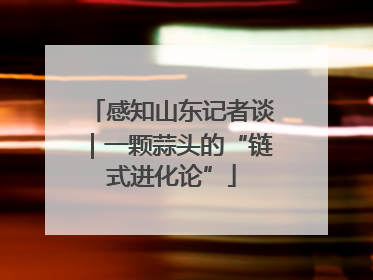 感知山东记者谈｜一颗蒜头的“链式进化论”