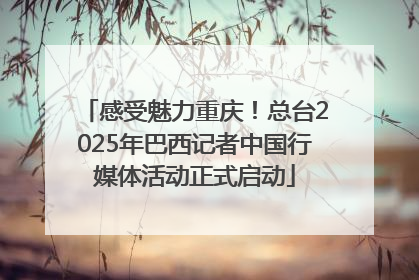 感受魅力重庆！总台2025年巴西记者中国行媒体活动正式启动