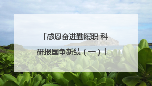 感恩奋进勤履职 科研报国争新绩（一）