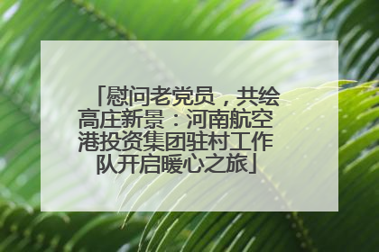 慰问老党员，共绘高庄新景：河南航空港投资集团驻村工作队开启暖心之旅