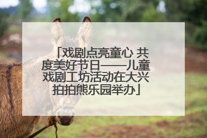 戏剧点亮童心 共度美好节日——儿童戏剧工坊活动在大兴拍拍熊乐园举办