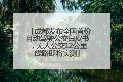 成都发布全国首份自动驾驶公交白皮书，无人公交12公里线路即将实测