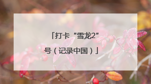 打卡“雪龙2”号（记录中国）