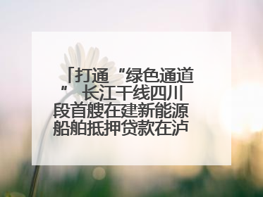 打通“绿色通道” 长江干线四川段首艘在建新能源船舶抵押贷款在泸州落地