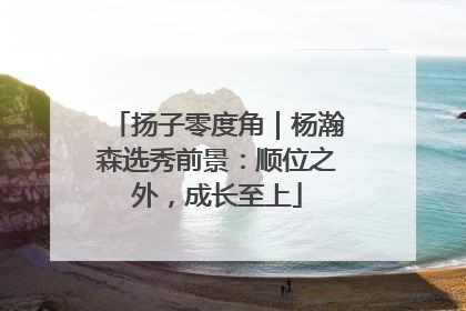 扬子零度角｜杨瀚森选秀前景：顺位之外，成长至上