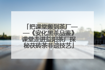 把课堂搬到茶厂——《安化黑茶品鉴》课堂走进益阳茶厂探秘茯砖茶非遗技艺