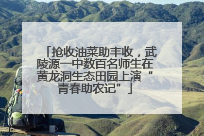 抢收油菜助丰收，武陵源一中数百名师生在黄龙洞生态田园上演“青春助农记”