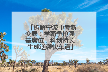 拆解宁波中考新变局：学霸争抢强基席位，科创特长生成逆袭快车道