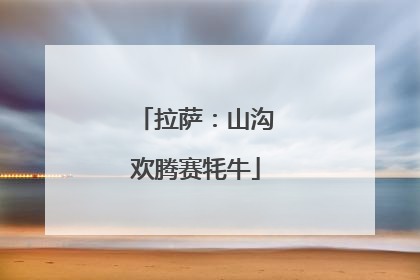 拉萨：山沟欢腾赛牦牛