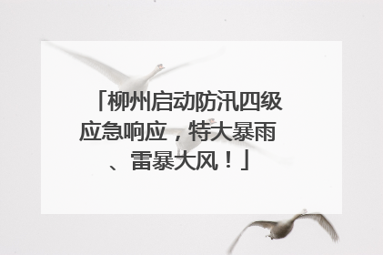 柳州启动防汛四级应急响应，特大暴雨、雷暴大风！