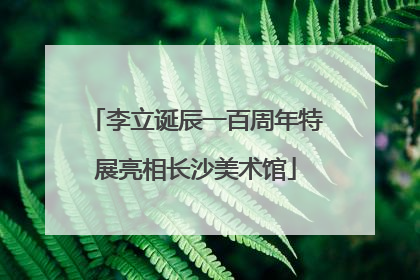 李立诞辰一百周年特展亮相长沙美术馆