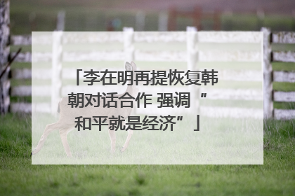李在明再提恢复韩朝对话合作 强调“和平就是经济”