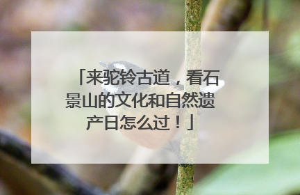 来驼铃古道，看石景山的文化和自然遗产日怎么过！