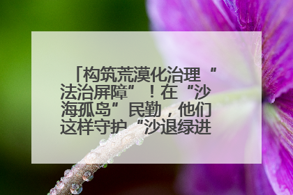 构筑荒漠化治理“法治屏障”！在“沙海孤岛”民勤，他们这样守护“沙退绿进”的生态奇迹