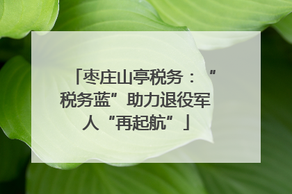枣庄山亭税务：“税务蓝”助力退役军人“再起航”