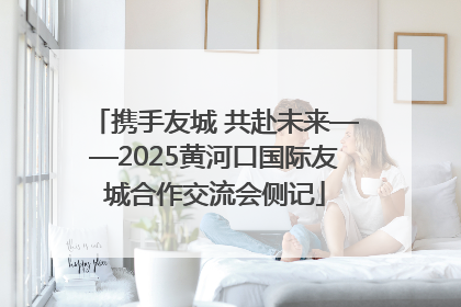 携手友城 共赴未来——2025黄河口国际友城合作交流会侧记