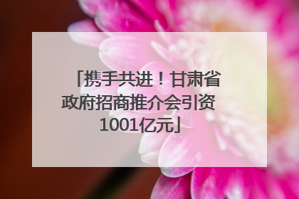 携手共进！甘肃省政府招商推介会引资1001亿元