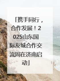 携手同行，合作发展！2025山东国际友城合作交流周在济南启动