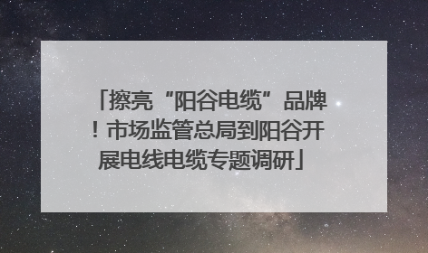 擦亮“阳谷电缆”品牌！市场监管总局到阳谷开展电线电缆专题调研