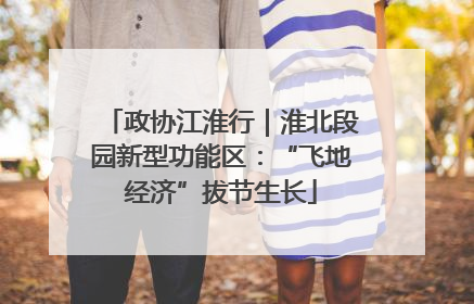 政协江淮行｜淮北段园新型功能区：“飞地经济”拔节生长