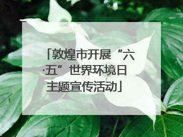 敦煌市开展“六·五”世界环境日主题宣传活动