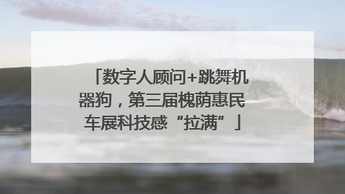 数字人顾问+跳舞机器狗，第三届槐荫惠民车展科技感“拉满”