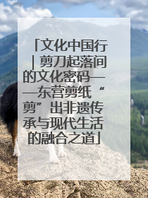 文化中国行｜剪刀起落间的文化密码——东营剪纸“剪”出非遗传承与现代生活的融合之道