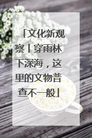 文化新观察丨穿雨林下深海，这里的文物普查不一般