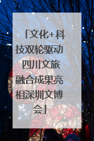 文化+科技双轮驱动 四川文旅融合成果亮相深圳文博会