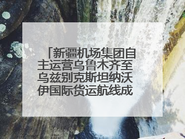 新疆机场集团自主运营乌鲁木齐至乌兹别克斯坦纳沃伊国际货运航线成功首航