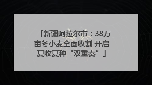 新疆阿拉尔市：38万亩冬小麦全面收割 开启夏收夏种“双重奏”