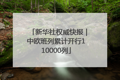 新华社权威快报｜中欧班列累计开行110000列