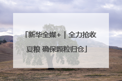 新华全媒+｜全力抢收夏粮 确保颗粒归仓