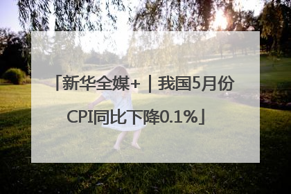 新华全媒+｜我国5月份CPI同比下降0.1%