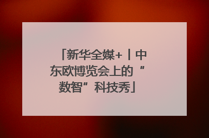 新华全媒+丨中东欧博览会上的“数智”科技秀