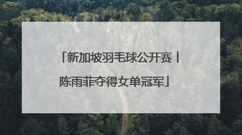 新加坡羽毛球公开赛丨陈雨菲夺得女单冠军