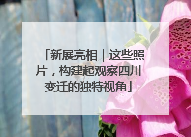 新展亮相｜这些照片，构建起观察四川变迁的独特视角